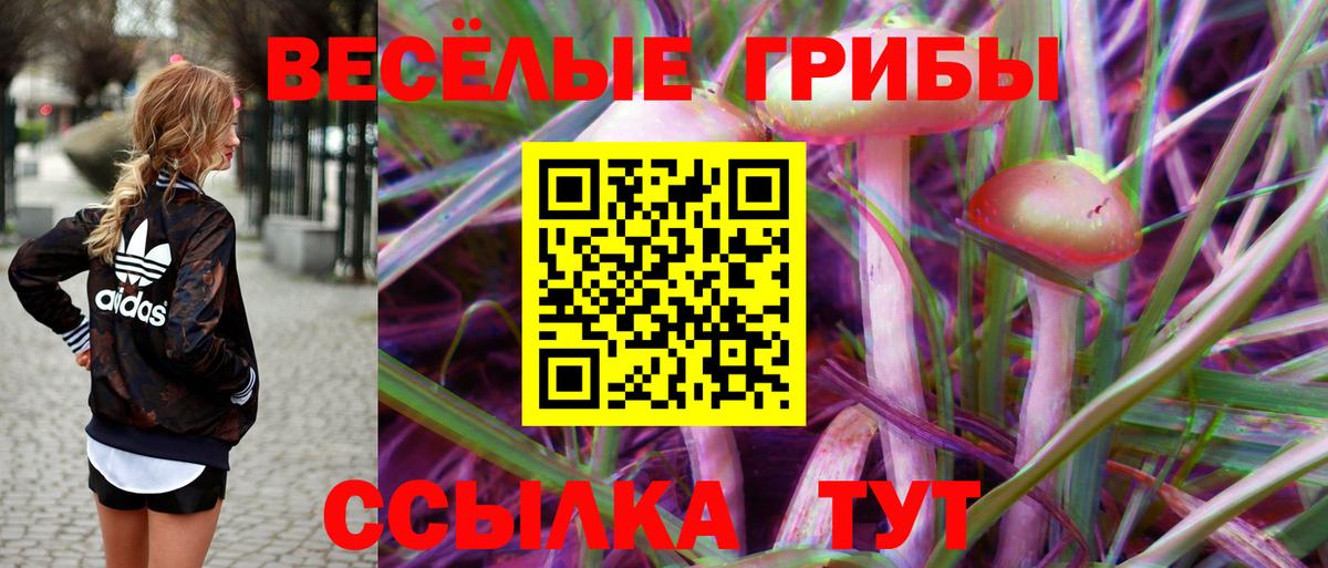 Псилоцибиновые грибы прущие грибы  Вход с VPN  хочу   Барнаул 